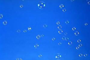 ガチャガチャの森：多彩なカプセルトイを楽しめる店舗の魅力と詳細情報