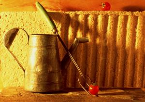 全室DAM完備！カラオケ ビッグエコーの魅力と店舗情報完全ガイド